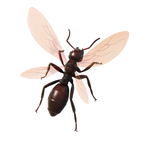 Mochila Ant-onio