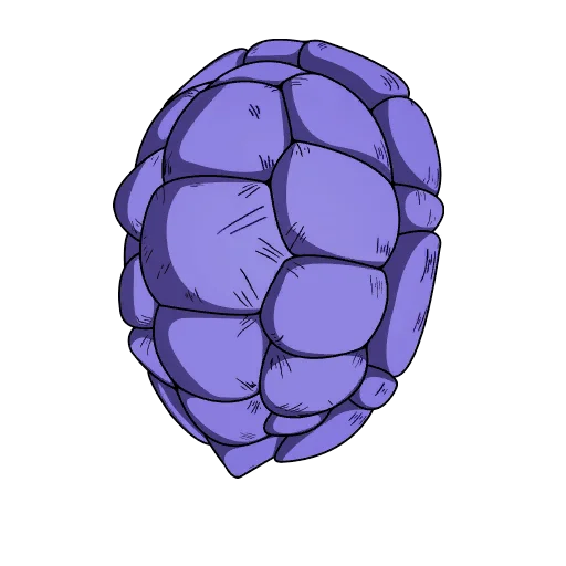 Sac à Dos Carapace de Kamesennin