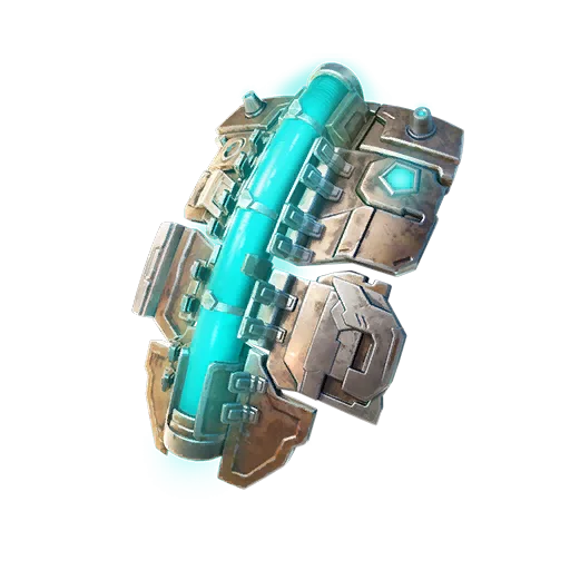 Back Bling RIG