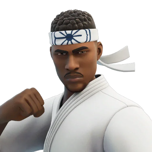 Skin Defensor del dojo