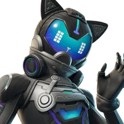 Skin Neko-RX1