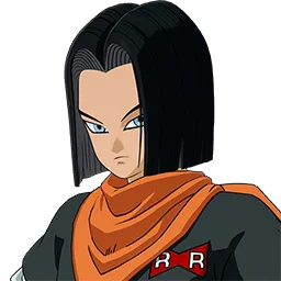 Skin C-17