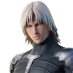 Skin Raiden