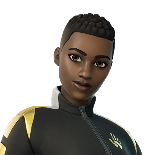 Skin Sentinelle de Stealthy