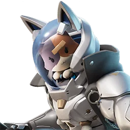 Skin Katt