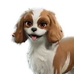 Sandy Spaniel sidekick