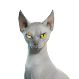 Gato de Miaudas sidekick