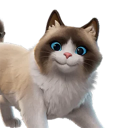 Ragdoll elegante sidekick