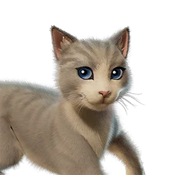 The Best Cat sidekick