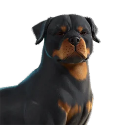  Can de EsDeeKid