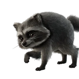 Jimothy sidekick