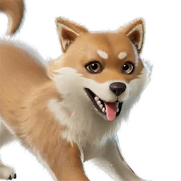 Miso sidekick