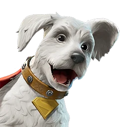  Krypto
