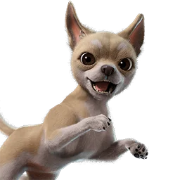 Teacup Chi-Pup sidekick