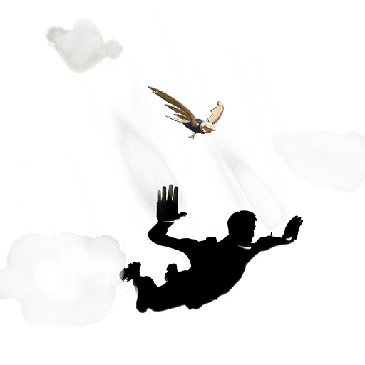  Vogeldrohne