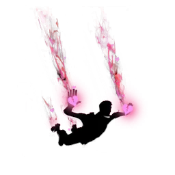  Chute câline