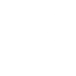 Disco (Surf Curse) emote fortnite