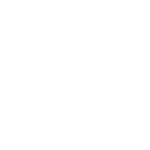 Emote Wakandan Salute