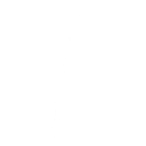 Danse Danse avec moi