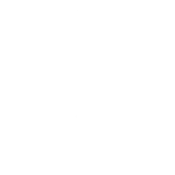 Baile Baile vapuleador
