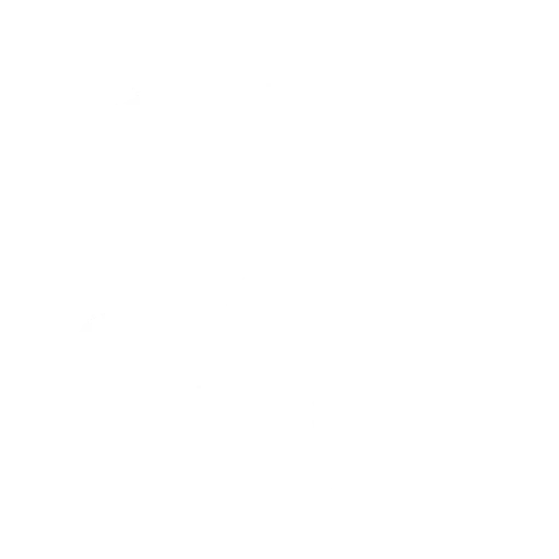 Danse du bhangra danse fortnite