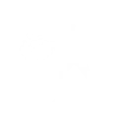 Pistola gatito baile fortnite