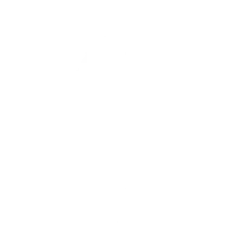 Shout! balleto fortnite
