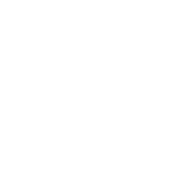 Emote Punk Show