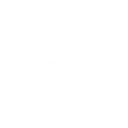 Fast Slow Disco fortnite dance