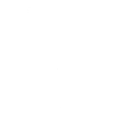 Baile Levitación