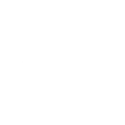 Dance Seelenschlitzer