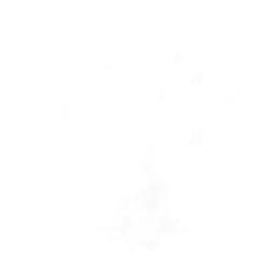 Bacchette di fuoco