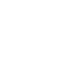 TiK ToK emote fortnite