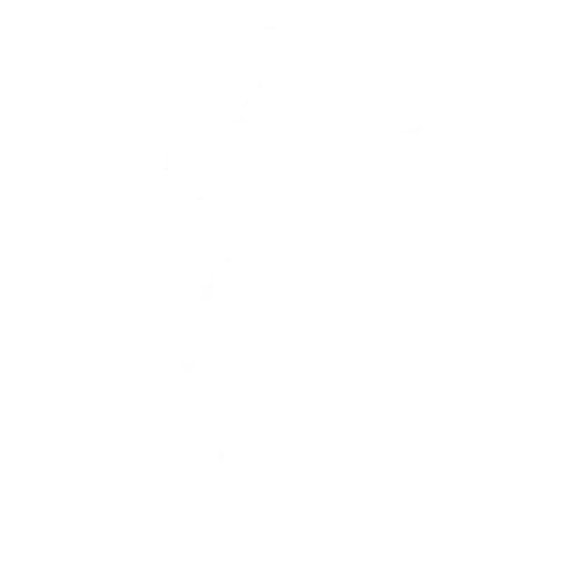 Ranzo e manzo balleto fortnite