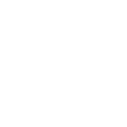 Baile ¡MÓRFOSIS!
