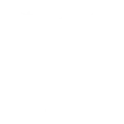 Famose Flügel