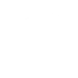 Bass-Meister