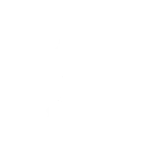 Ballo Segway Tour