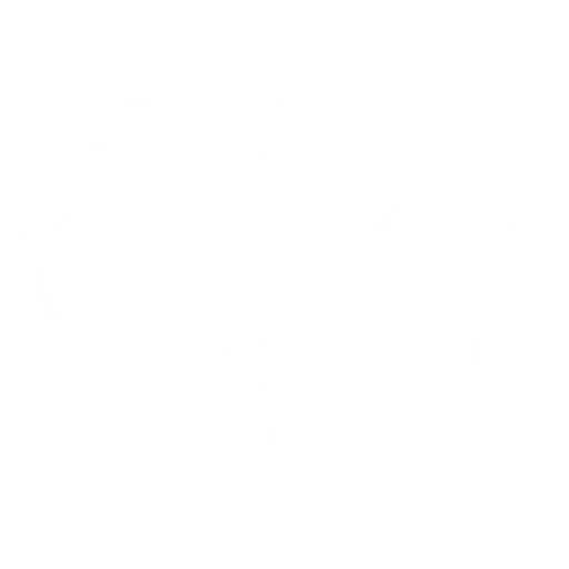 Danse Puissance de la tempête