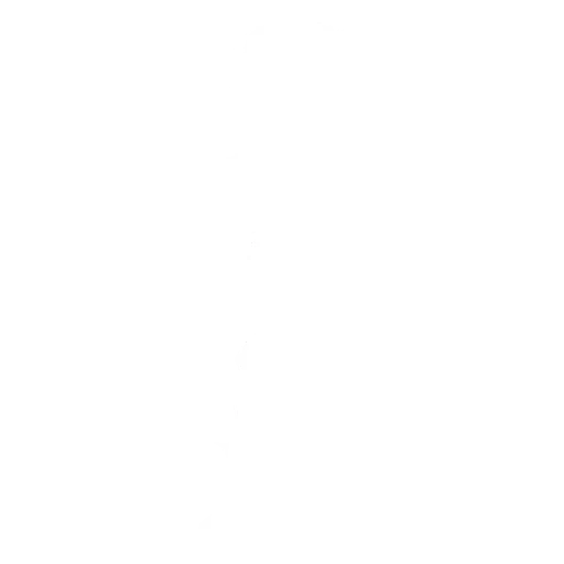 Emote God of Thunder