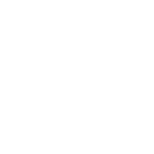 Danse Ferveur de fan