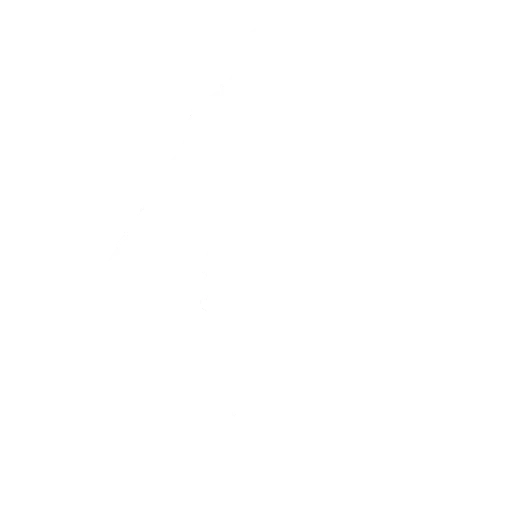 Baile Ataque del Asesino