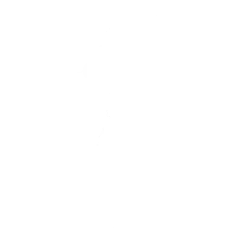CrazyBoy baile fortnite
