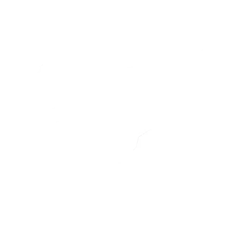 Ballo Calcio di Trinity