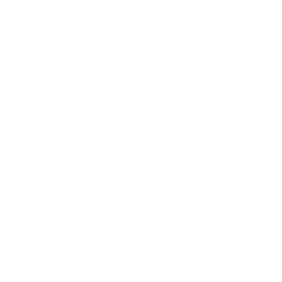 Dança Punk Gentil