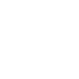 Dança Estandarte da Conquista