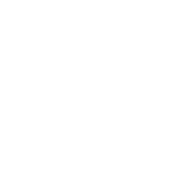 Ballo Ricerca arcana