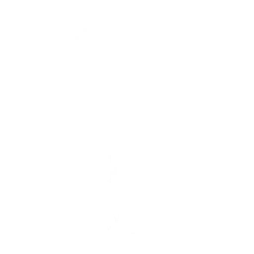 Ballo Fai apparire l'arma