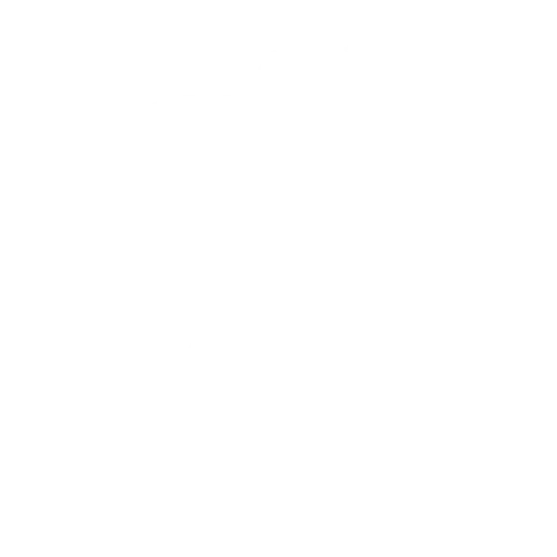 Dança Brado Primal