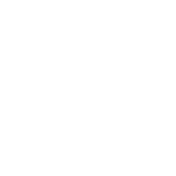 Baile Camionetita tortuga